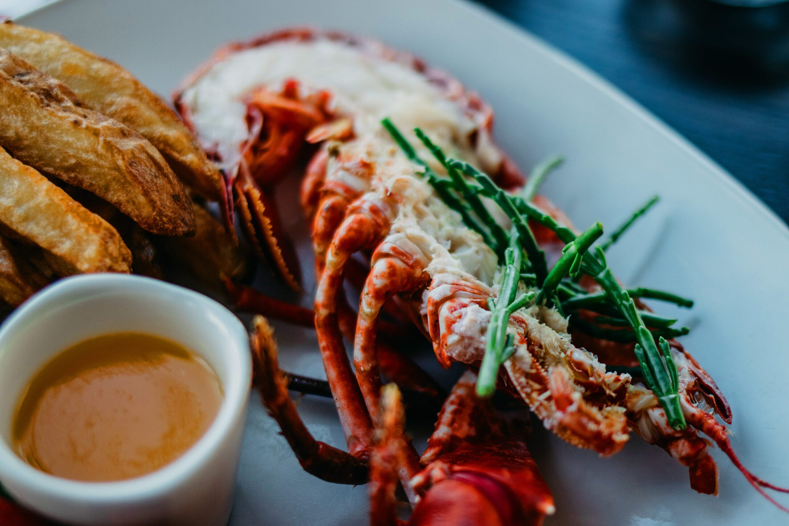 lobster-sat-scaled.jpg?w=2500&h=1667&scale