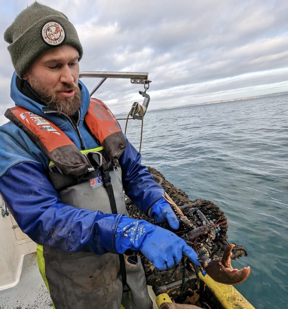 Fresh lobster and seafood on the menu at The Griffin Pembrokeshire - Danny from Little Haven supplies lobster to the Griffin